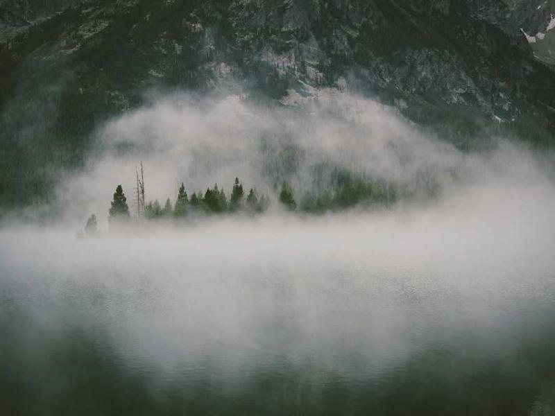 Eksport imkoniyatlari: O'zbek mevalari xorijda talab yuqori