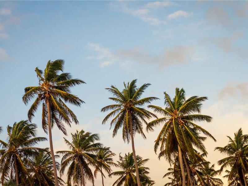 MAN TGS yuk mashinasi